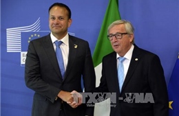 Châu Âu hoan nghênh thỏa thuận giữa Anh và EU